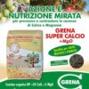 Post harvest fertilization allows for the absorption of substances that will