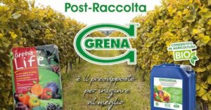 Post harvest fertilization, the prerequisite for starting the following year in