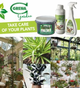 TAKE CARE OF YOUR HOUSE PLANTS! to better support the