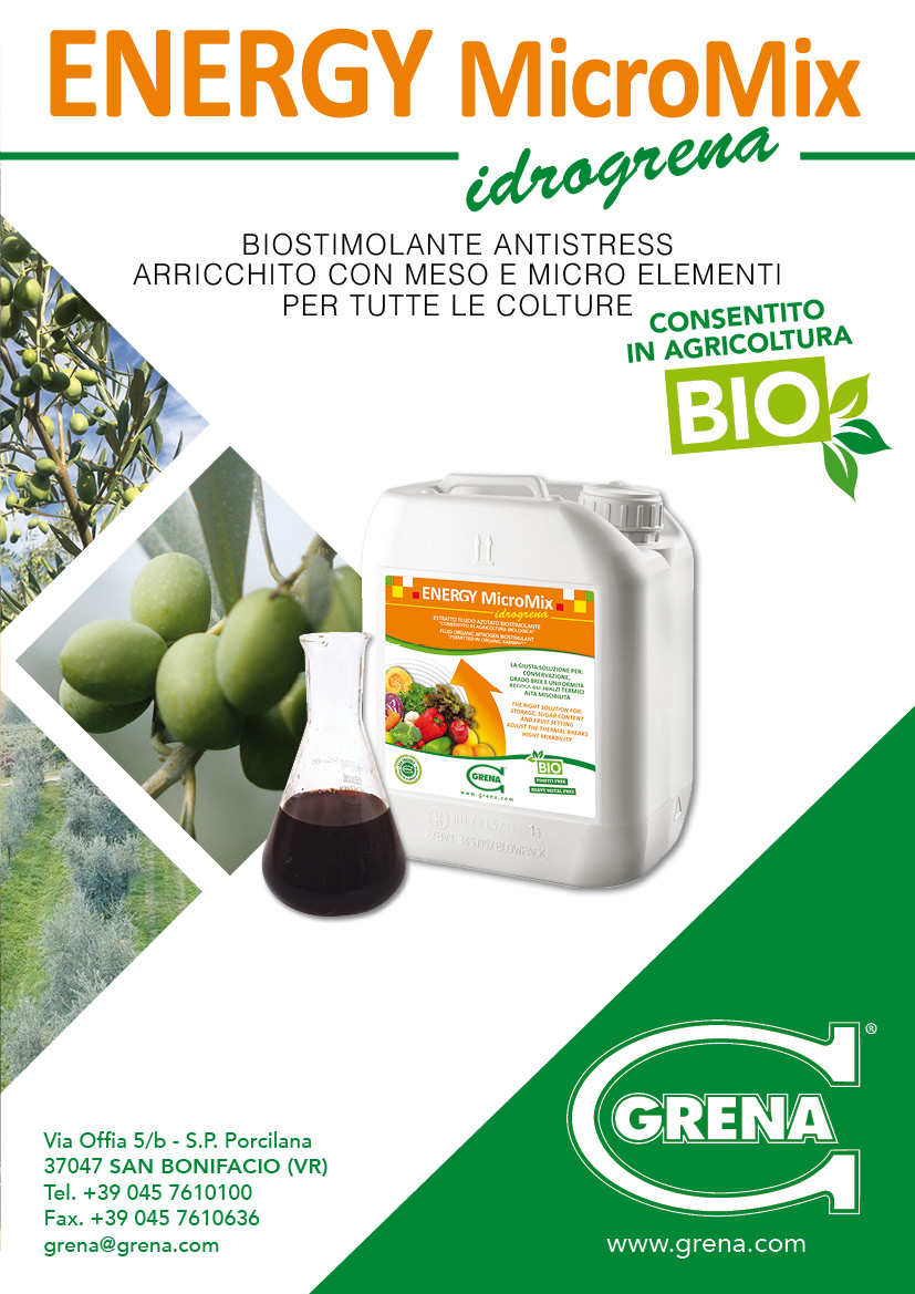 Cop ENERGY Olivo ITA