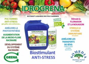 HYDROGRENA