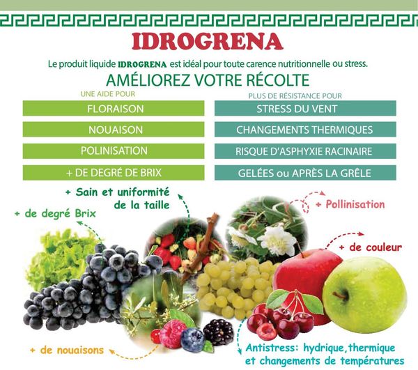 IDROGRENA Biostimulant anti stress à base de polyamines organiques L’IMPORT