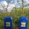 IDROGRENA: يحتوي على المواد التالية : Polyamines naturels + Ca+Fer+B+Mg+Mn+Cu