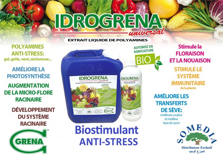 IDROGRENA