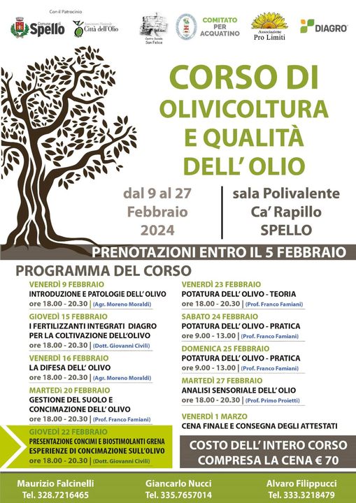 Questa sera al "Corso di Olivicoltura e qualità dell'olio" a