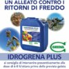 gelate e freddo tardivo? IDROGRENA PLUS è UN ALLEATO CONTRO