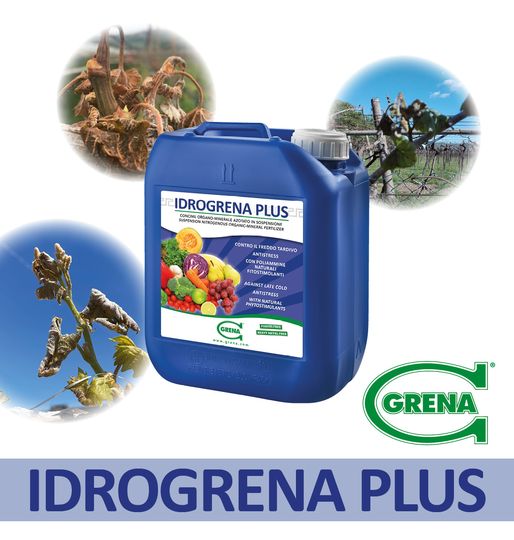 gelate e freddo tardivo? IDROGRENA PLUS è UN ALLEATO CONTRO