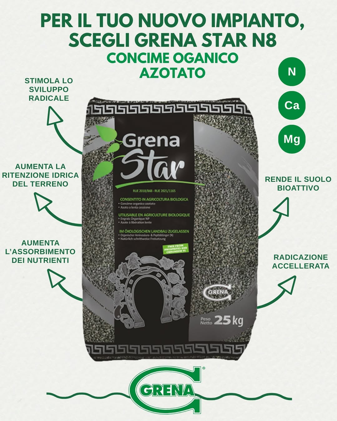 cada cultura merece una intervención animada y fértil desde el