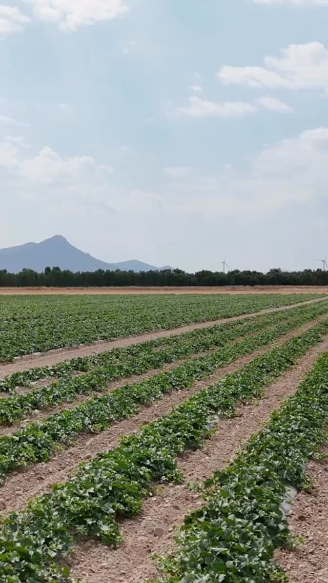 nutri la terra e raccogli il futuro ci impegnano quotidianamente