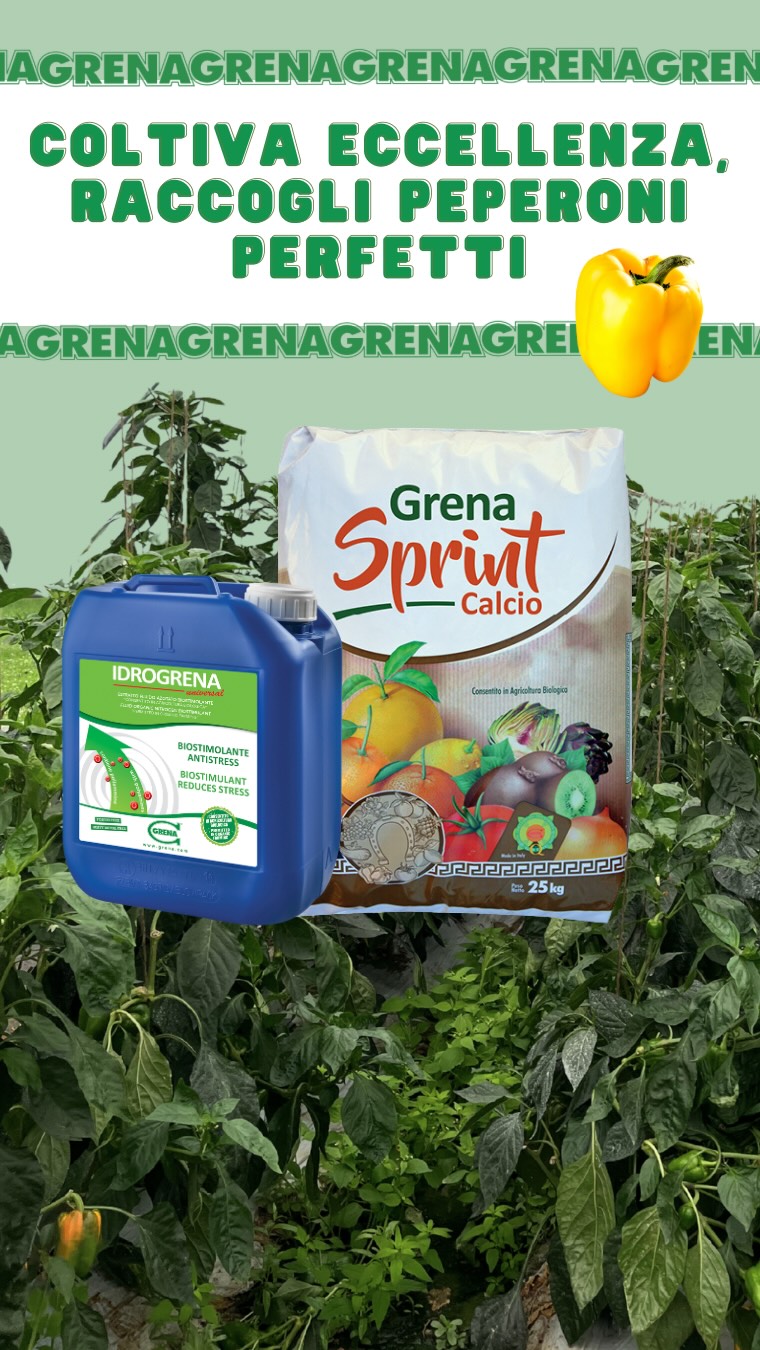 durante una visita a la provincia de vicenza, conocimos a