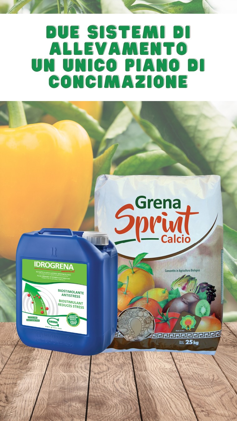 ein zuchtmanagement ist wichtig, aber ernährung macht den unterschied! ...