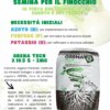 i terreni sono fertili solo quando contengono abbastanza sostanza organica,
