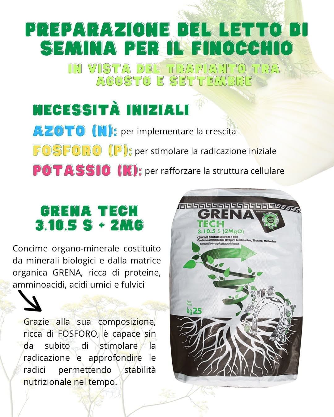 i terreni sono fertili solo quando contengono abbastanza sostanza organica,