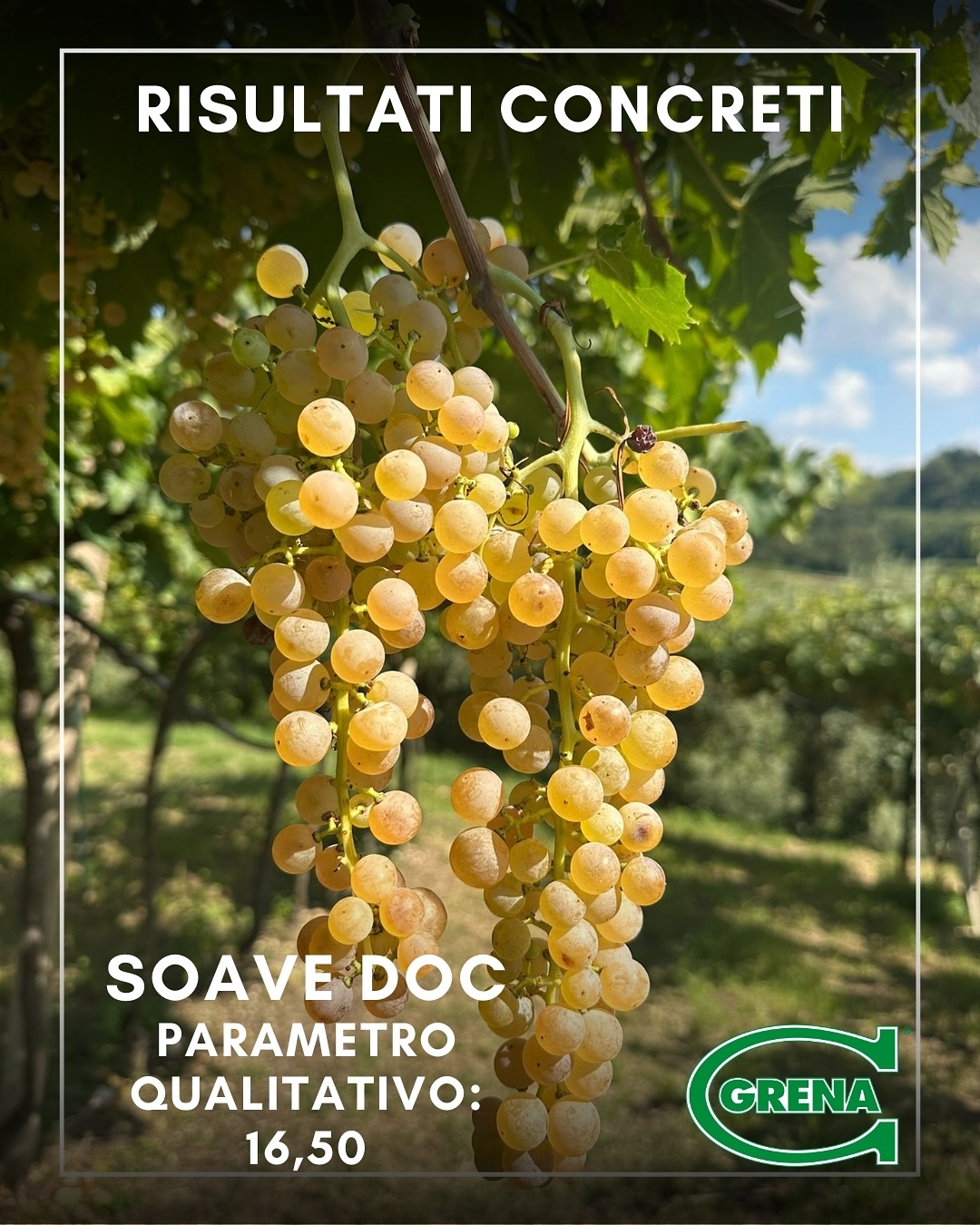 in a world that looks more and more to the