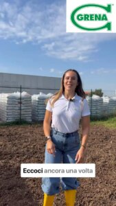 september: it is a transplant time for autumn crops with