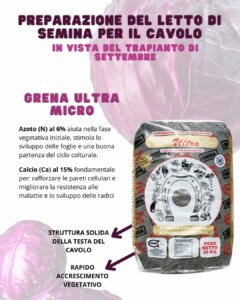 this year before transplantation, it uses a balanced basic fertilization