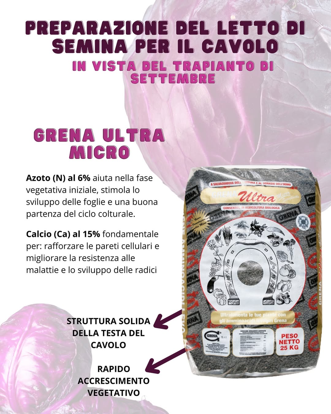 this year before transplantation, it uses a balanced basic fertilization