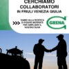 we are looking for in the friuli region venice