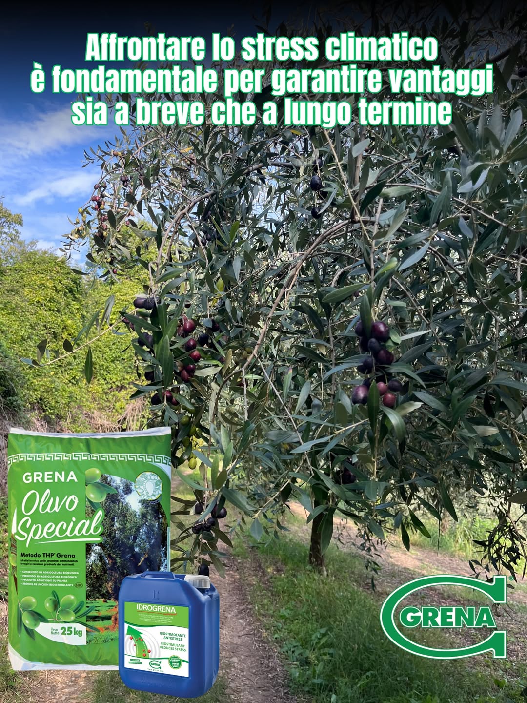 die kommentarfunktion wurde für diesen beitrag deaktiviert.