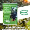 una buona concimazione in post raccolta dell’ulivo, garantisce un’ottima ripresa...