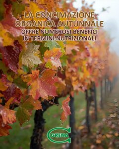 organic fertilizers in autumn. these types of fertilization enrich the...