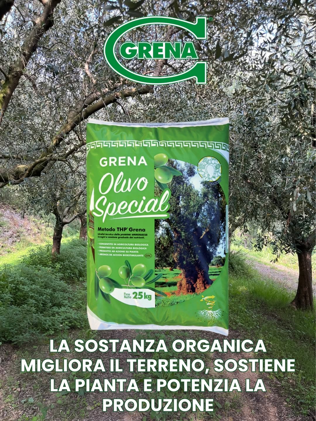 organic matter supports a wide range of soil organisms, including