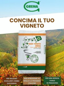 un corretto apporto di azoto (n), fosforo (p) e potassio