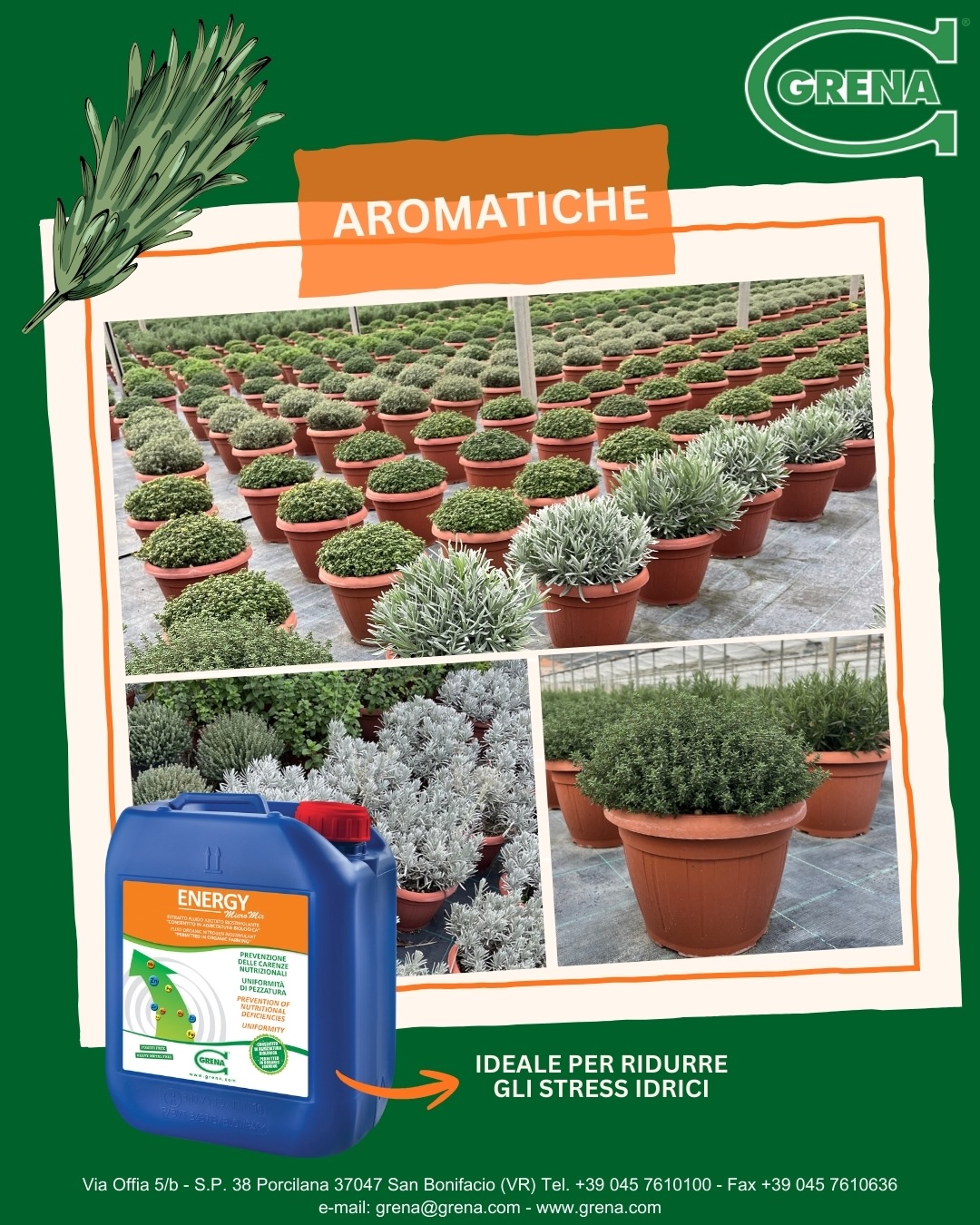 eine wurzelverfeinernde wirkung und stressreduzierung bei aromapflanzen ...