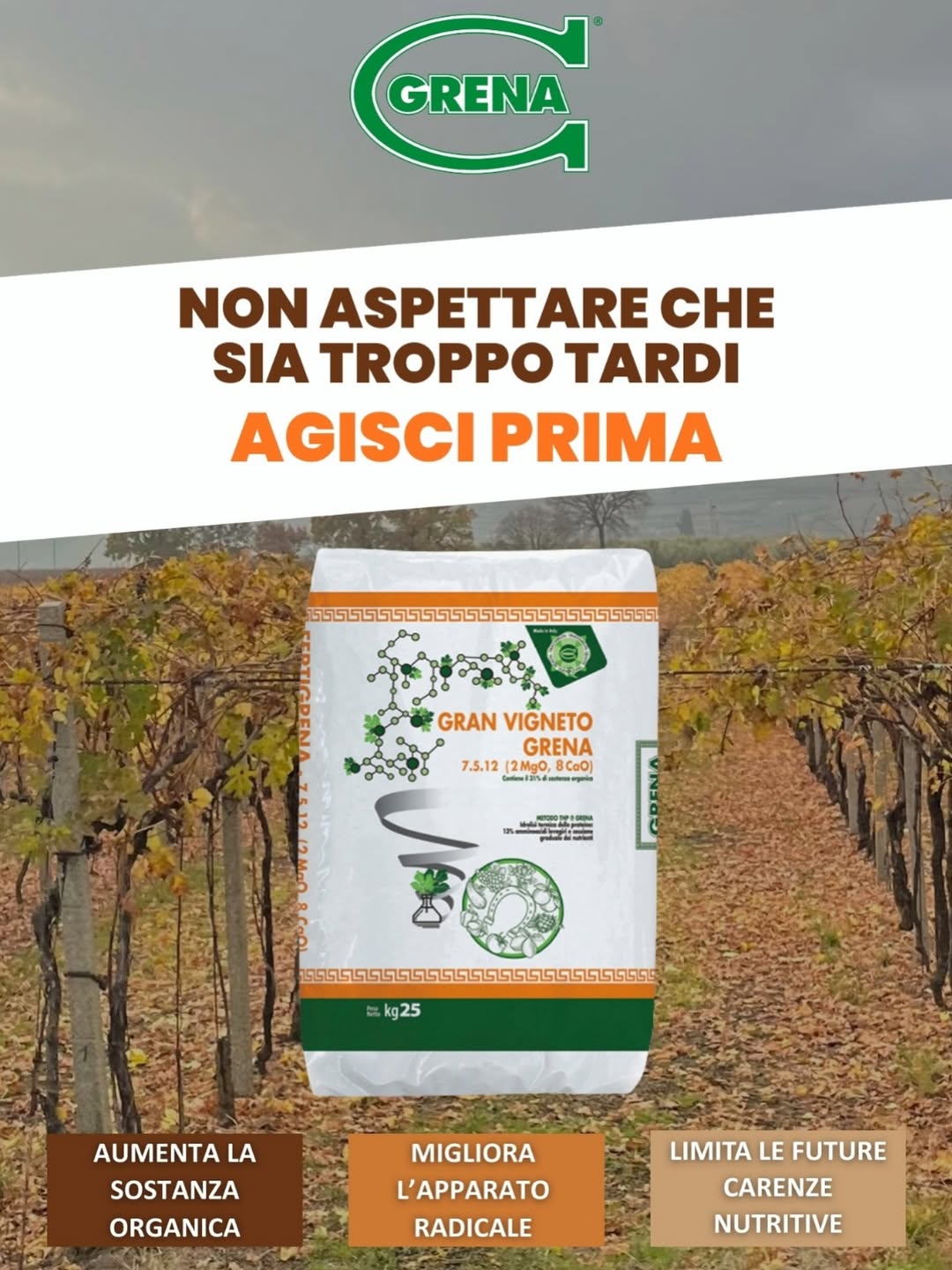 es fundamental actuar sobre la salud del suelo, elegir el