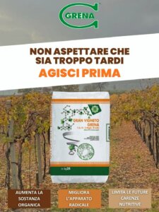 it is essential to act on the health of the