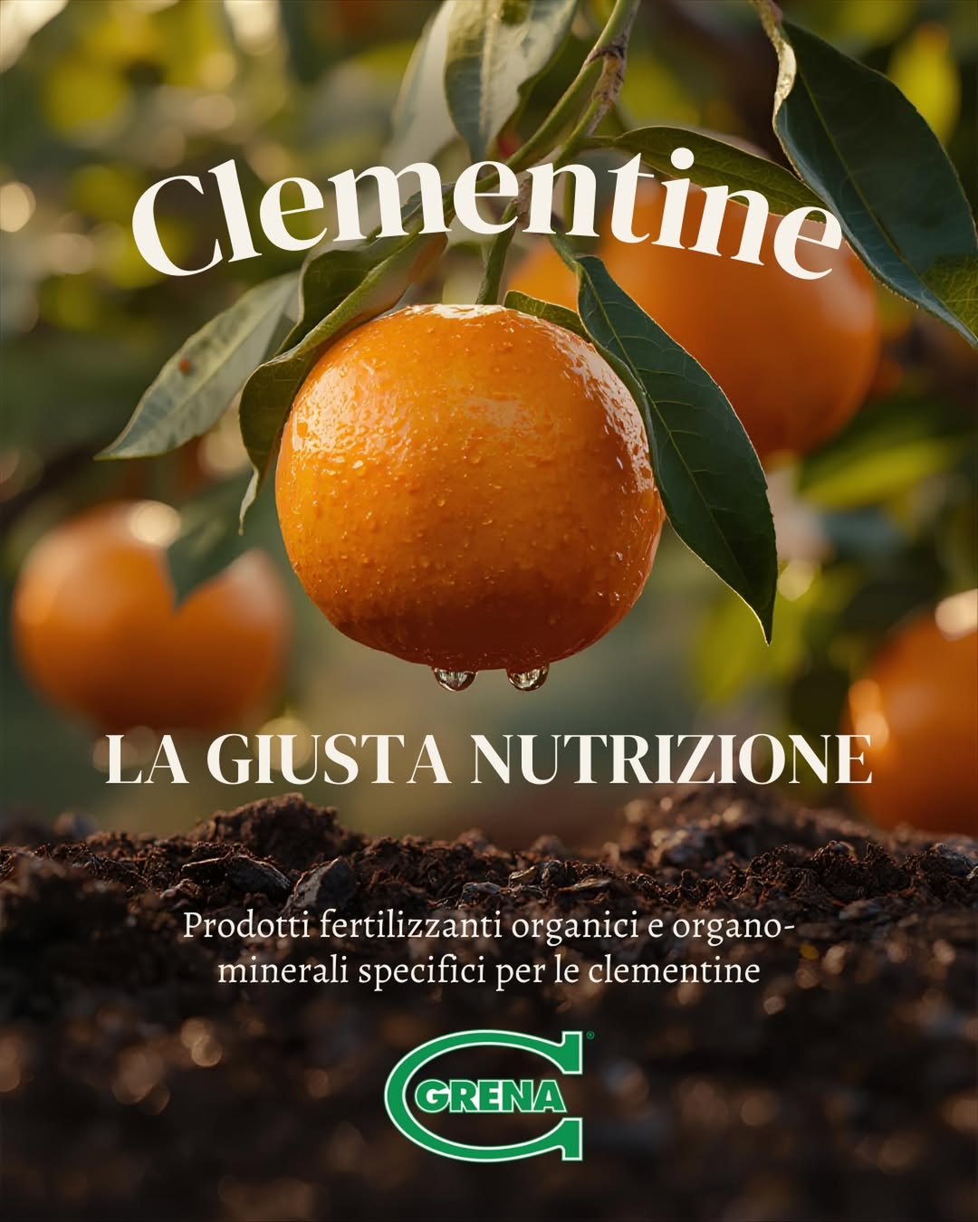 fertilizer products designed to improve soil health and promote...