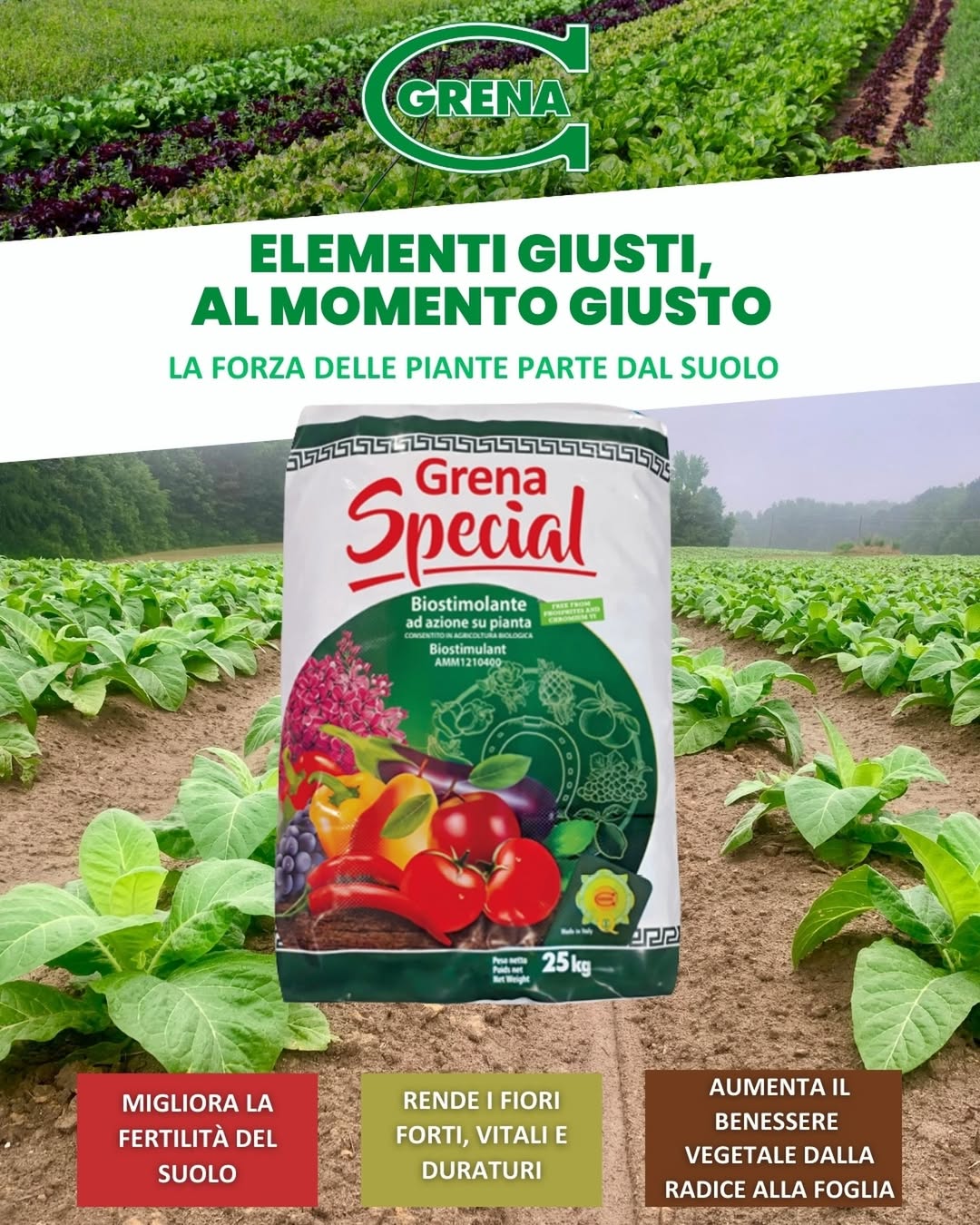 ¡no llegue desprevenido a su próximo trasplante! elige lo mejor