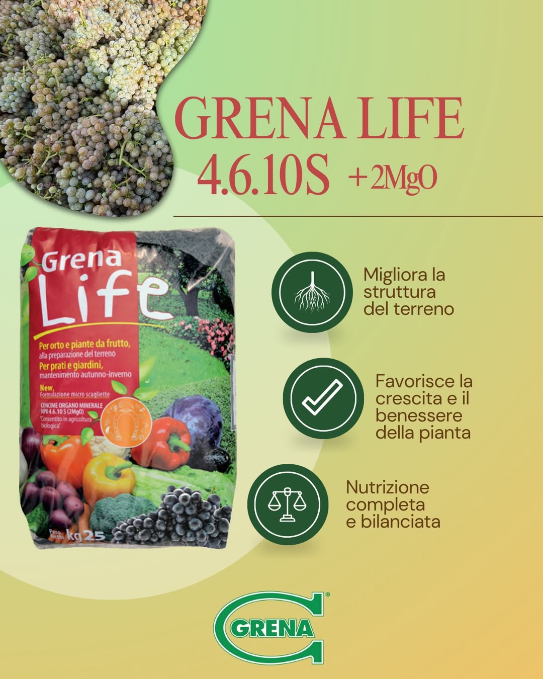 cuidar la nutrición del viñedo esta temporada supone sentar las