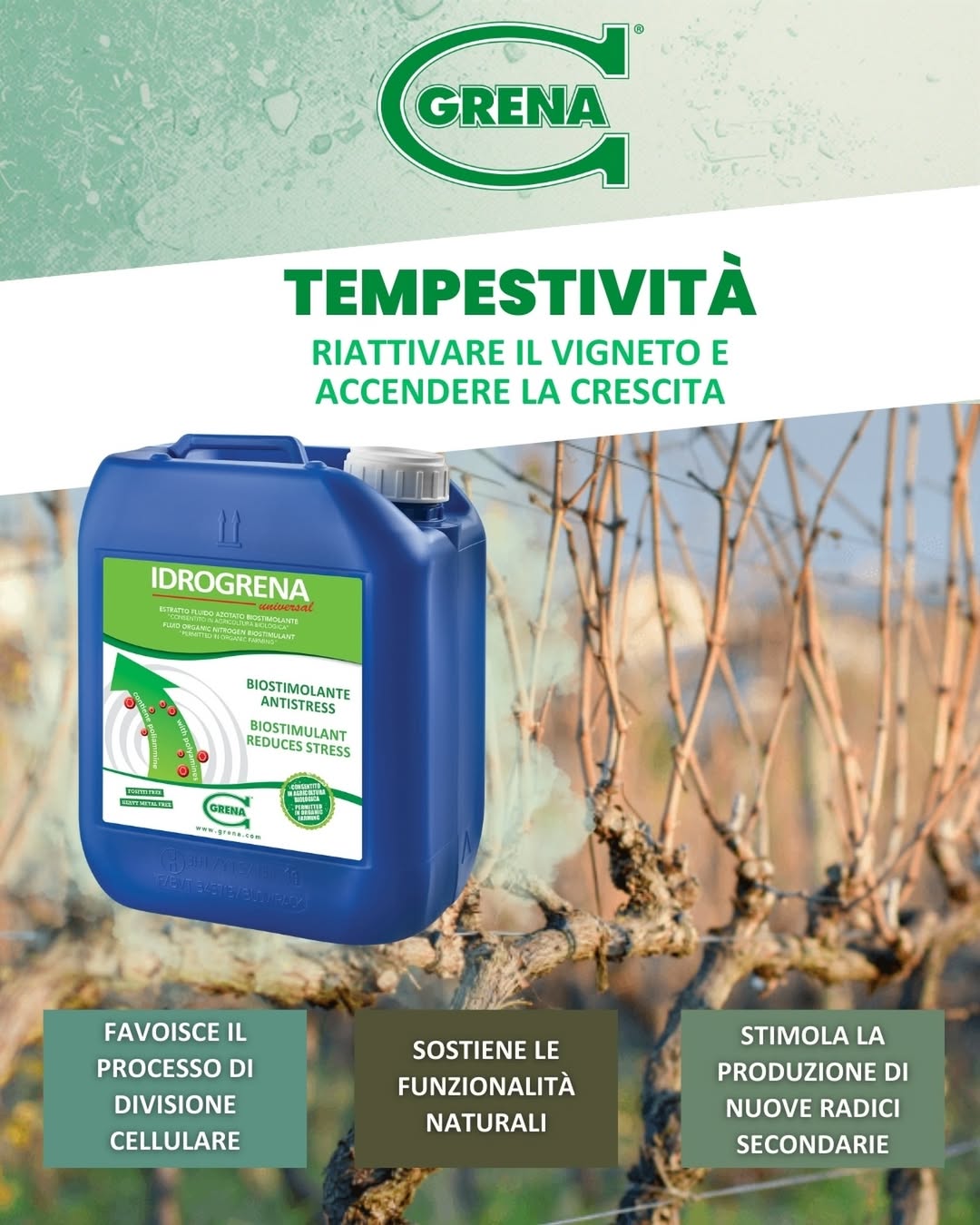 garantice a su viñedo un pronto inicio, ¡no espere! actua