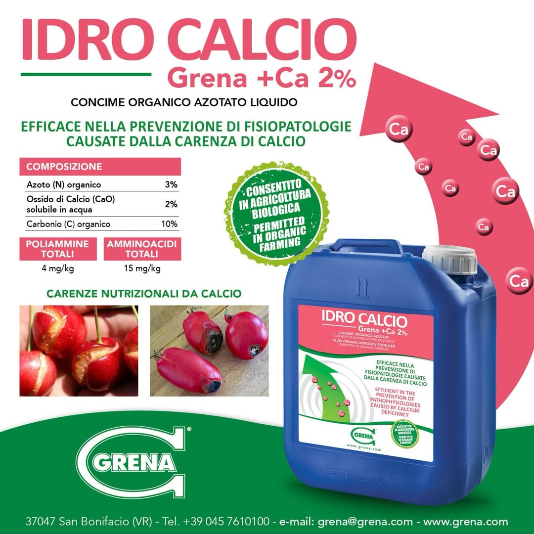 how important is a correct calcium intake? calcium is a