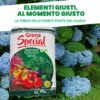 non perdere tempo! entra nel tuo giardino con il prodotto