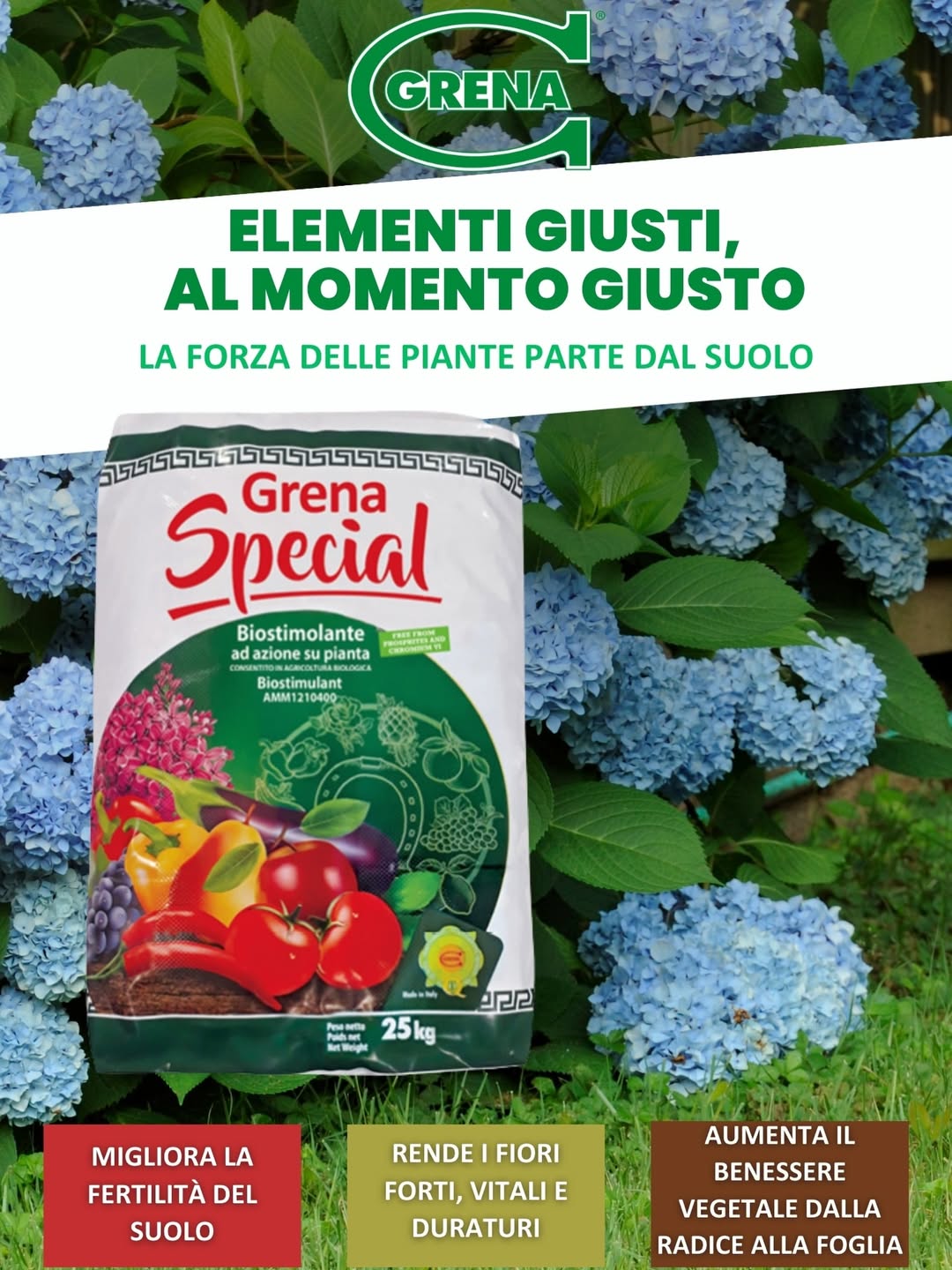 verschwende keine zeit! betreten sie ihren garten mit dem richtigen