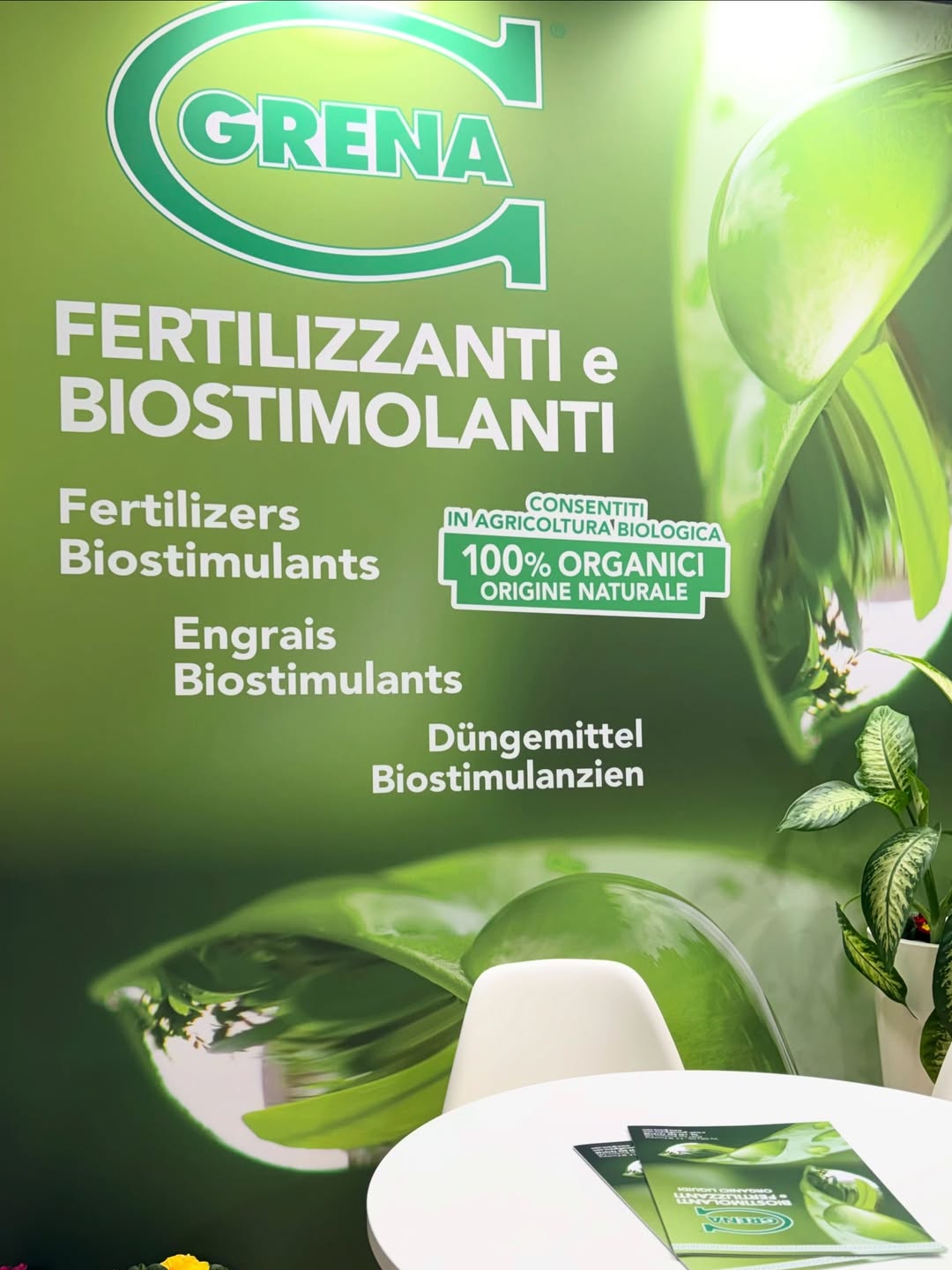 wählen sie exzellenz, wählen sie diejenigen, die mit den kontinuierlichen