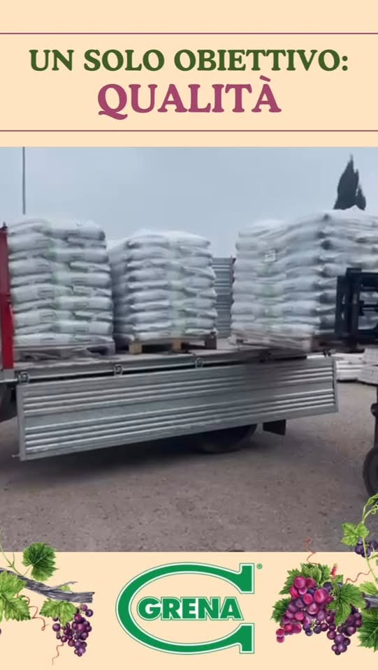 wir lieben die zusammenarbeit mit kunden und vermitteln pünktlichkeit und