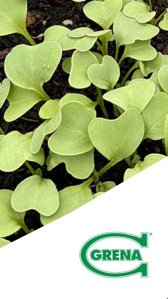 este año también decidimos probar nuestros productos directamente en el