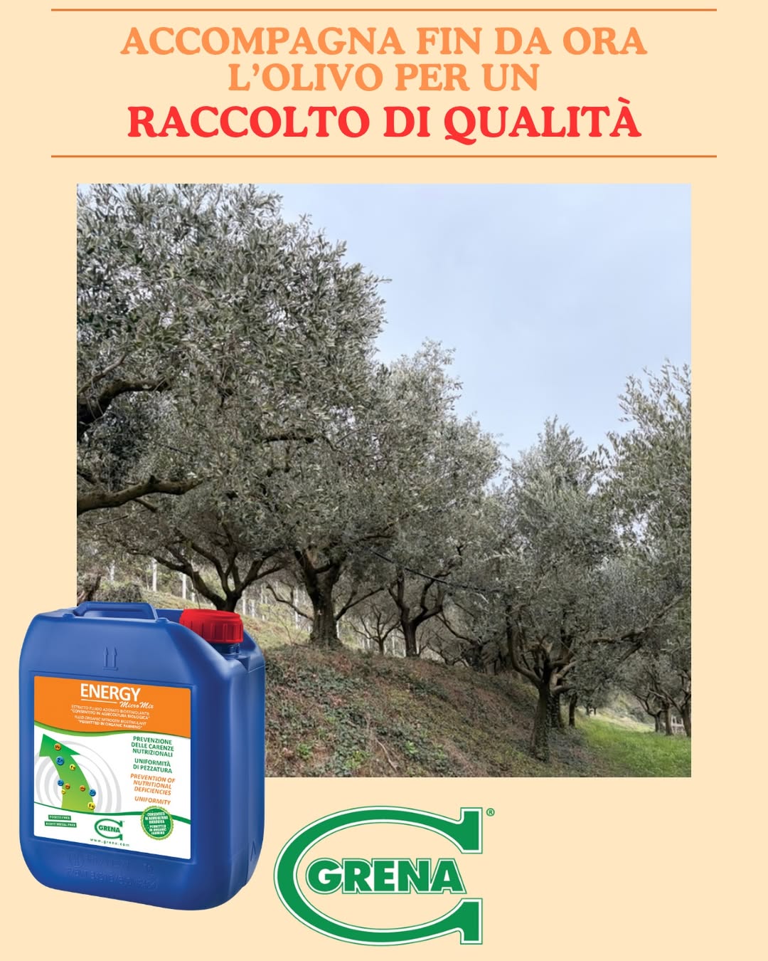 to obtain beneficial effects on the olive tree, it is