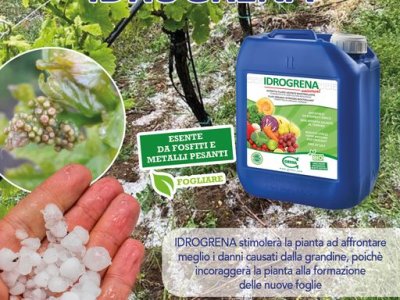 A heavy hailstorm hit almost all of Veneto, causing damage