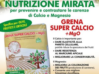 Aktion und gezielte Ernaehrung mit Grena SuperCalcio 2MgO