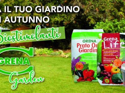 Apres le stress de lete le jardin perd une partie