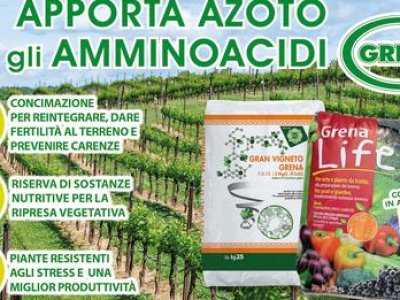 Azoto alle piante in primavera si puo con gli amminoacidi 5000f dst jpg flffffff p500x261 q75ccb13 1oh06 AbH26P4GPIP19Hr24vaNyzp7IGty3TsF5ue4h8OHSUkqvAoe63EFF510 nc sidb1eadf