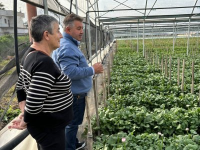 Blumen und Farben in Pompeji, hier ist eine Produktion von