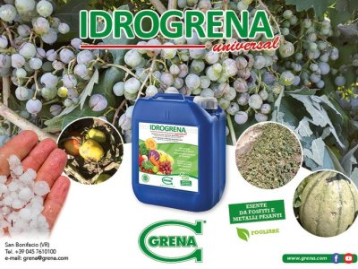 Danni da GRANDINATE e MALTEMPO? Prova IDROGRENA Universal, un biostimolante