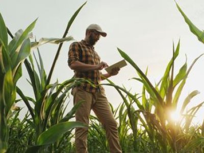 Defense and fertilization, with the CAP new declaration obligations