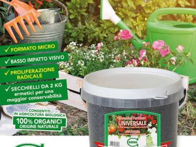 Der Frühling kommt über uns? Es ist Zeit, Gemüse und