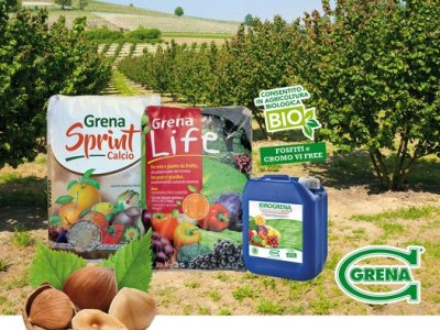 FERTILISATION DU NOISETIER AVEC GRENA contactez nous pour plus d’infos